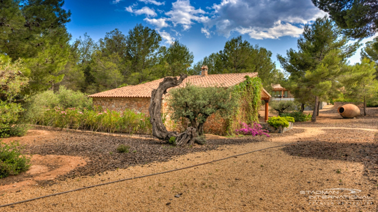 Belle villa avec Maison d'Hôtes et Intimité Totale