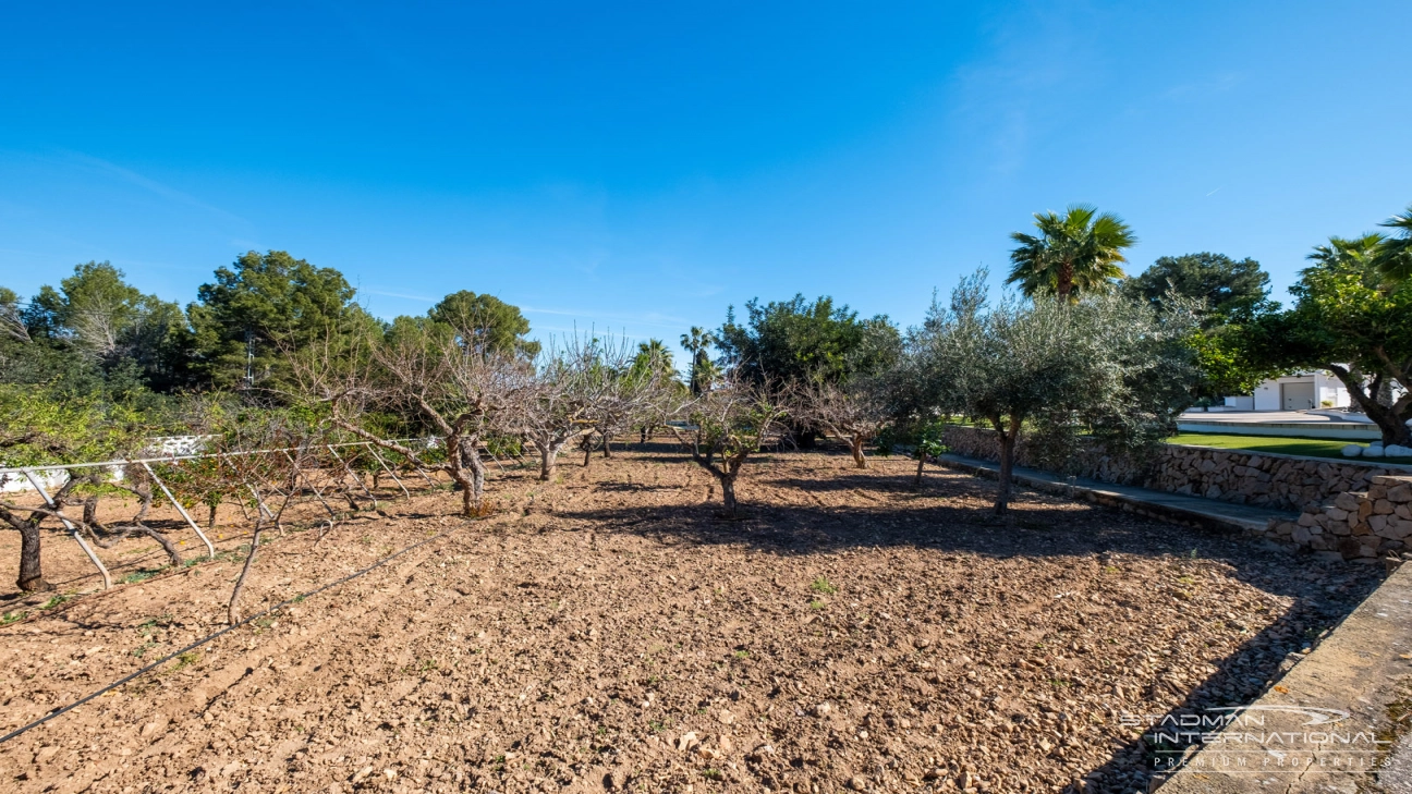 Exclusive Villa on a 6.000 m² Private Estate Near the Heart of Albir