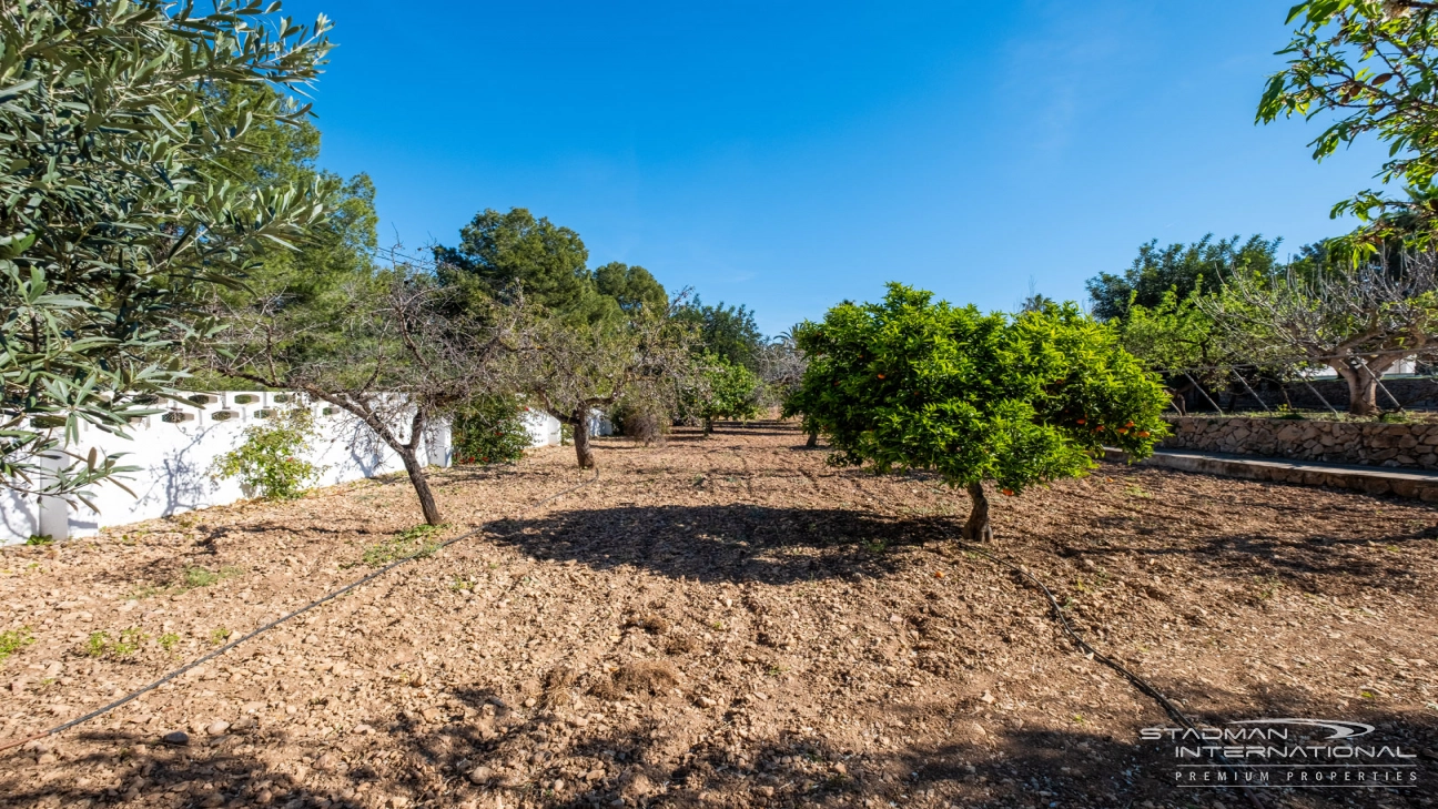 Exclusive Villa on a 6.000 m² Private Estate Near the Heart of Albir