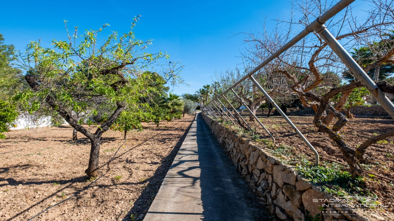 Exclusive Villa on a 6.000 m² Private Estate Near the Heart of Albir