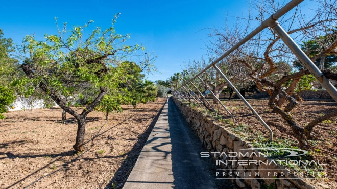 Exclusieve Villa op een Privé Landgoed van 6.000 m² in  Albir